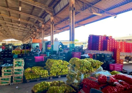 Frutas lideram vendas na Ceasa-MS, que movimentou mais de R$ 1 bilhão em 2025
