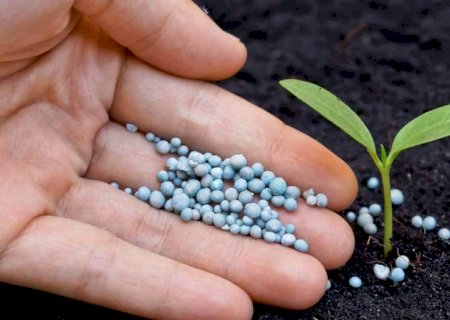UFN-III retoma obras e coloca MS no centro da estratégia nacional para produção de fertilizantes