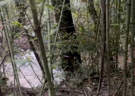 Corpo de homem é encontrado em córrego às margens da BR-267 em Nova Alvorada