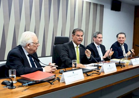 Nelsinho lidera debate sobre novo tarifaço dos EUA e pede diplomacia para evitar escalada da crise