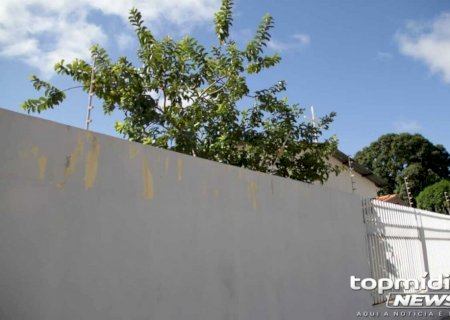 Homem é preso ao pular muro e invadir casa para observar vizinha em Fátima do Sul