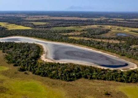 Projeto inicia nova etapa de 11 meses para validar cr&eacute;ditos de biodiversidade