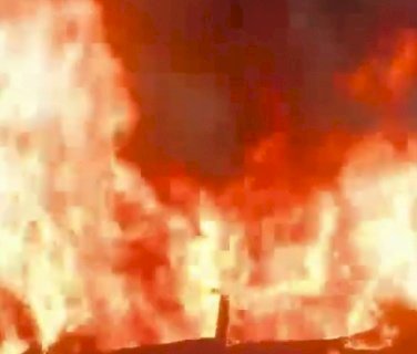 Veja vídeo: Corolla pega fogo após bater em árvore; dois morrem e vereador de Douradina fica ferido