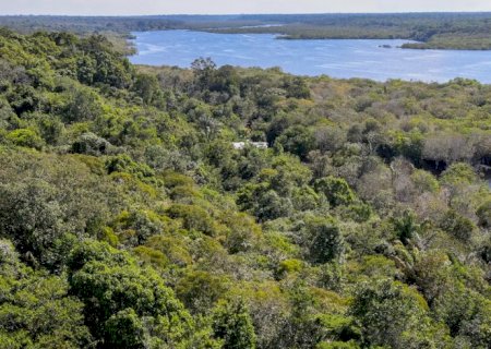 Fundo Amazônia quadruplica ritmo anual de aprovações desde 2023