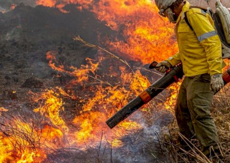 Governo repassa R$ 337 milhões para combate a incêndios e desmatamento