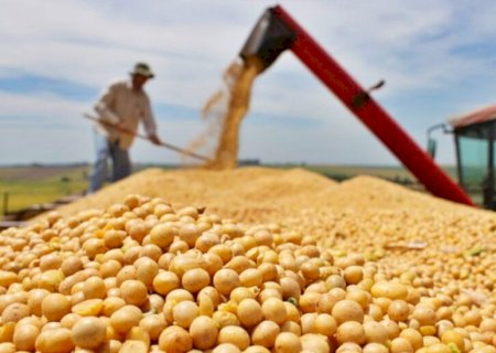 IBGE prevê safra de 29,1 milhões de toneladas de cereais, leguminosas e oleaginosas em MS