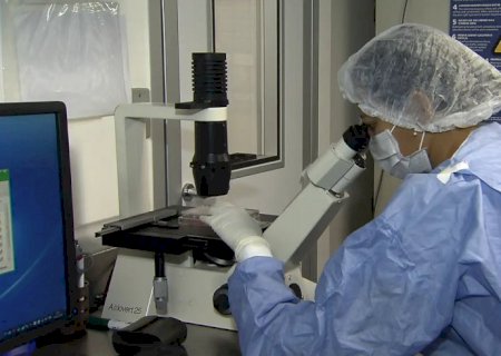 Saiba como cientistas "curaram" pacientes infectados com HIV