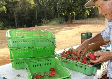 Finep vai pagar R$ 220 milhões para inovações em agricultura familiar 