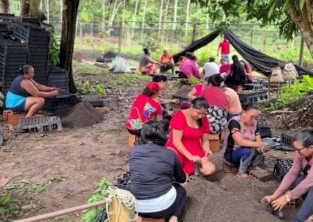 Mulheres da Amazônia se unem para enfrentar as mudanças climáticas