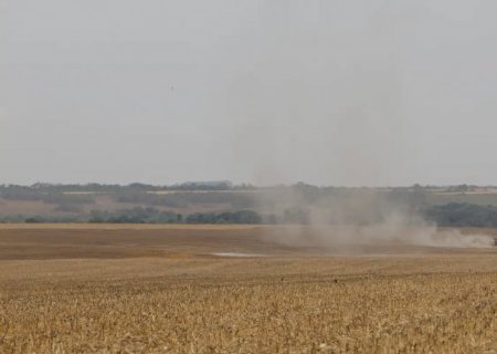 Estudo propõe avanços na rastreabilidade ambiental da soja e da carne