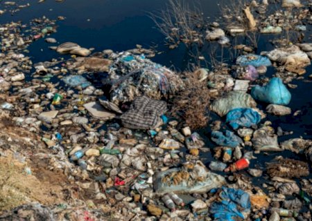 Despoluição? Cientistas descobrem fungo comedor de plástico