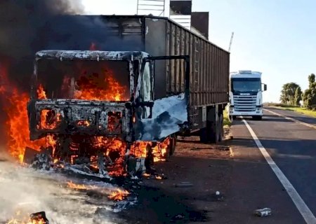 Carreta boiadeira pega fogo e bois são soltos para escapar das chamas