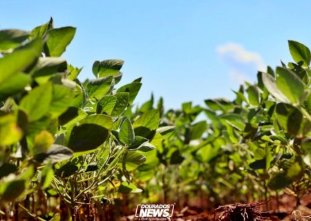 MP de dívida rural foca em perdas climáticas, diz Durigan