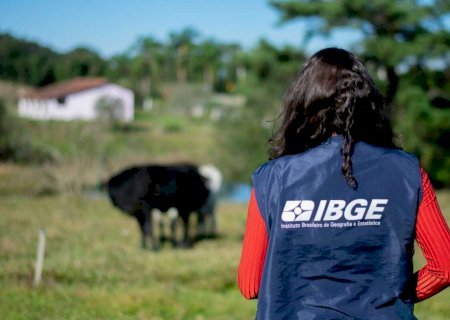 Quais capitais mais cresceram no Brasil? Veja nova lista do IBGE