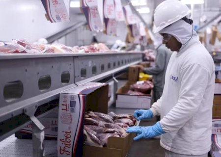 Friboi seleciona profissionais com experiência em frigorífico nesta segunda-feira em Sidrolândia