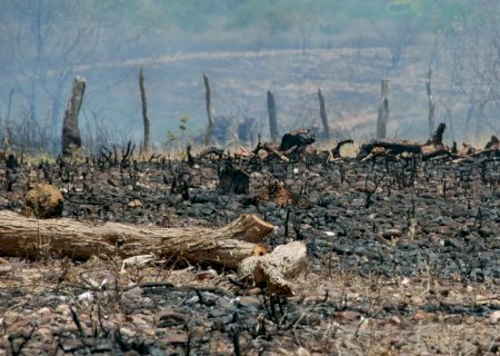 Sociedade civil rejeita agenda excludente aprovada no início da COP17