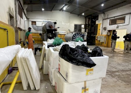 MS lidera buscas por canetas emagrecedoras irregulares e concentra apreensões