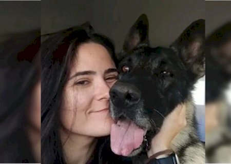 Veterinária morre após ser atacada por cão do canil do Senado Federal