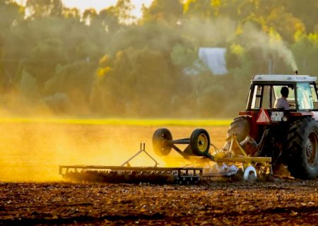 Empresas do agro puxam alta de recuperações judiciais