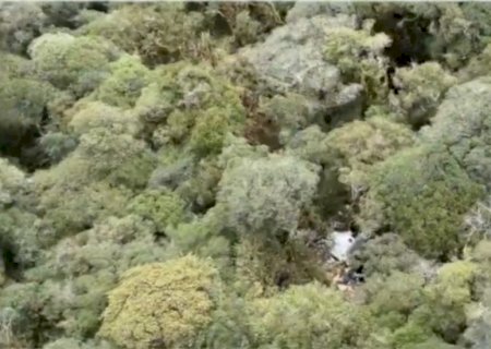 Destroços de helicóptero com cantor Rick são encontrados; não há sobreviventes