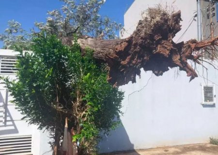 Prefeitura aguarda R$ 5 milhões para ajudar mais de 200 famílias atingidas por temporal 