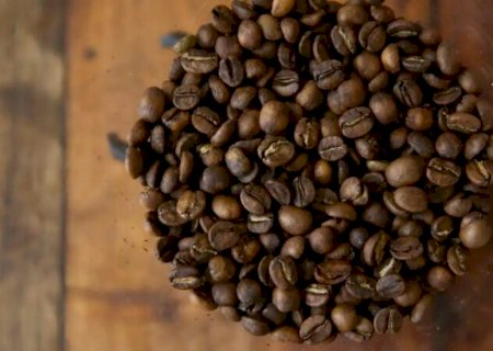 Exportações de café batem recorde histórico em agosto