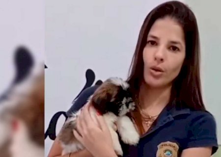 Mulher é presa por maus-tratos contra cachorrinha em Aquidauana (vídeos)