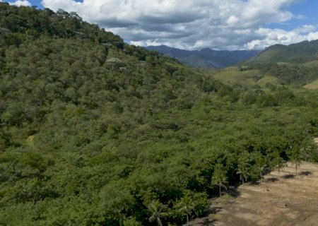 Agricultura ganha 11 milhões de hectares em 41 anos na Mata Atlântica