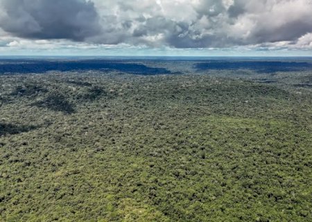Devastação na Amazônia pode quebrar maior "máquina de chuva" do mundo
