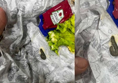 Cliente encontra lagarta em lanche no Nova Lima