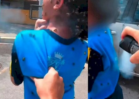 Criança é atacada por abelhas e motociclista leva mais de 40 picadas ao tentar salvá-la