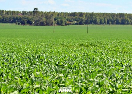 Valor Bruto da Produção supera R$ 1,4 trilhão em agosto