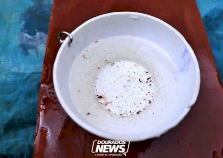 Com mais uma morte confirmada, Dourados prorroga situação de emergência para Chikungunya