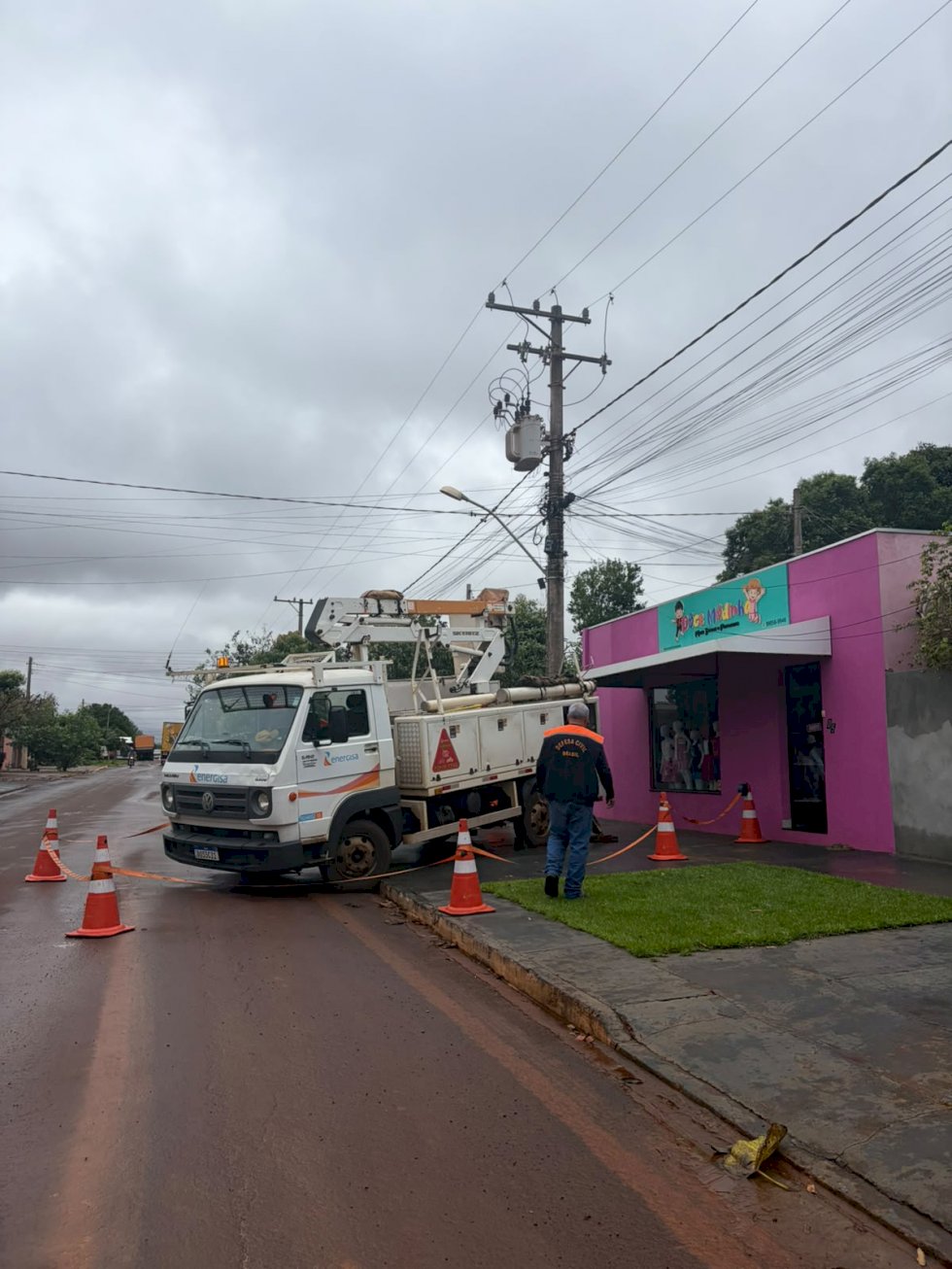 Itaporã: Enxame de abelhas ataca crianças e mobiliza Defesa Civil e Energisa no Jardim Santa Terra (Vídeo)