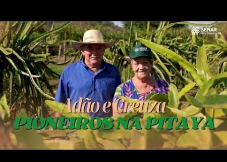 Vídeo - Casal pioneiro na produção de pitaya e se torna referência em Bonito com apoio do Senar/MS
