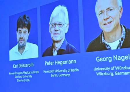 Nobel de Química vai para descoberta de imagem espelhada de moléculas