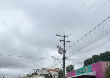 Itaporã: Enxame de abelhas ataca crianças e mobiliza Defesa Civil e Energisa no Jardim Santa Terra (Vídeo)