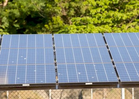 5º leilão do Eco Invest atrai quase R$ 50 bi para investimentos verdes