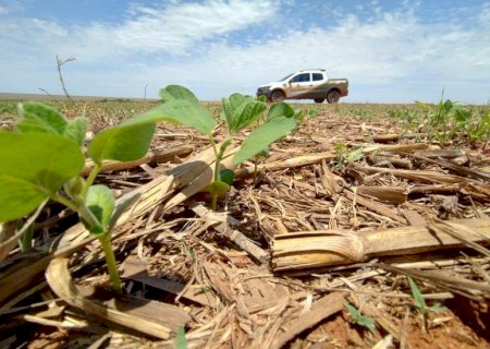 Mato Grosso do Sul já plantou 2,5 milhões de hectares de soja