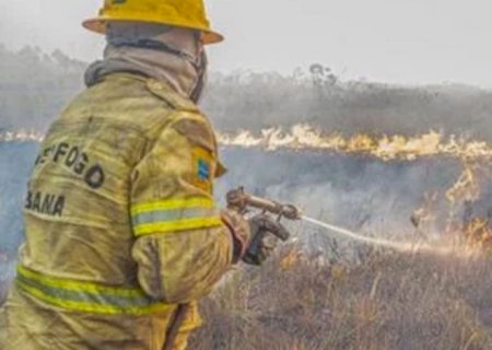 Governo investiga se há organização por trás dos incêndios no Amazonas