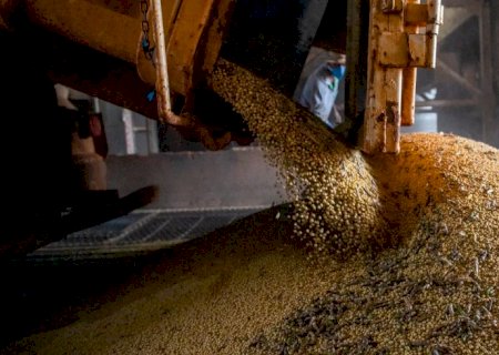 Produção brasileira de grãos deve aumentar apesar do El Niño