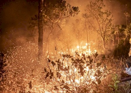 Ibama extingue 229 incêndios no Amazonas e segue no combate ao fogo